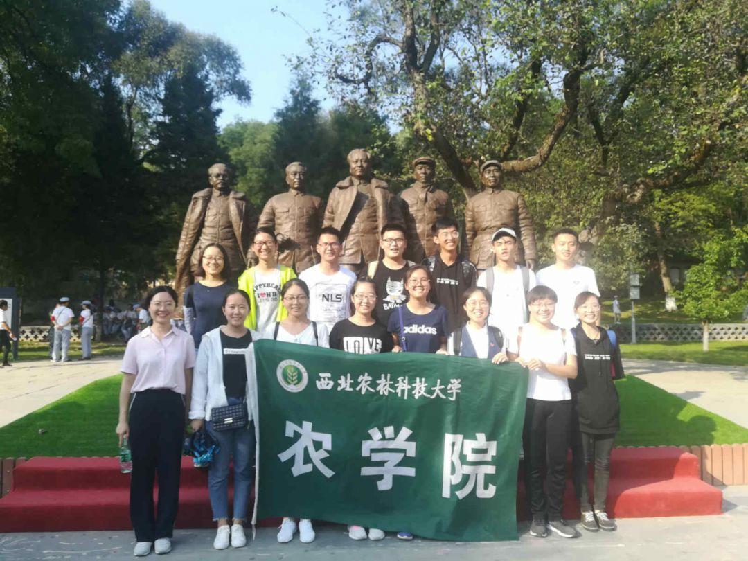 已婚女人梦见老公被打？游戏画面